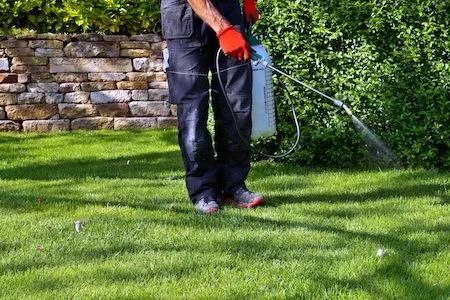 Benefits of a Weed &amp; Pest Control Package