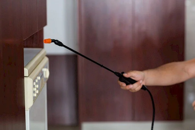 5 Misconceptions About Home Pest Control