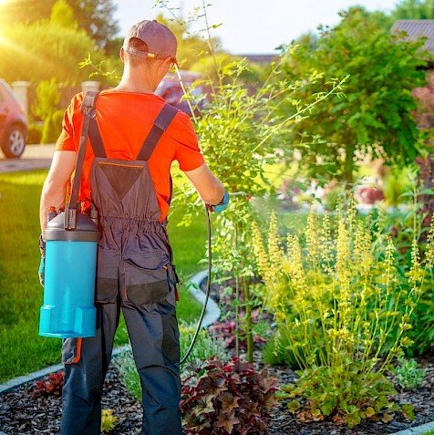 What is the Difference Between Herbicides and Pesticides?