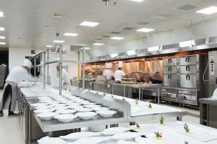 Pest Control for Commercial Kitchens