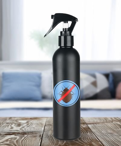 Effective Pest Control in Hotels and Restaurants