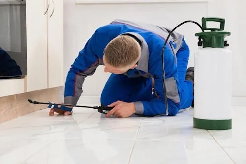 Best Reasons to Hire a Pest Control Company