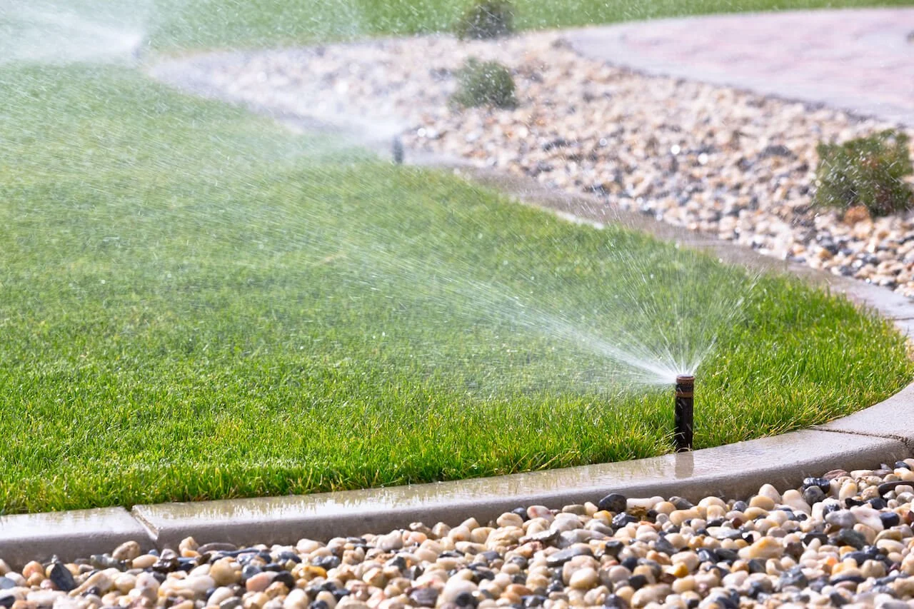 Water Conservation Tips for Arizona Lawns