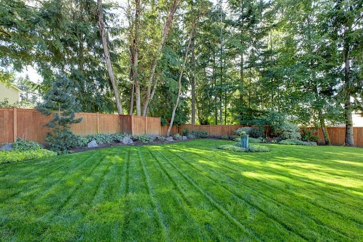 Do You Need a Tree Health Consultation?