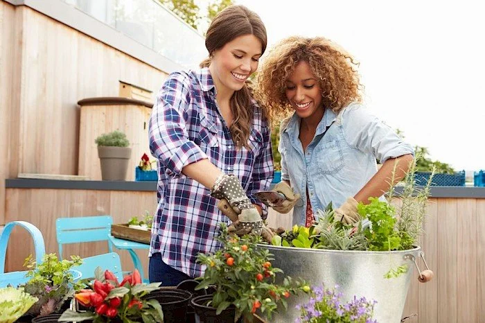 Herbs to Plant in Your Urban Garden
