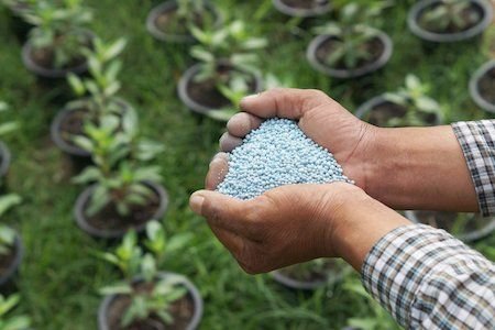 Types of Fertilizer - Which Should You Use?
