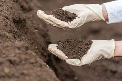 Soil Preparation for an Arizona Garden
