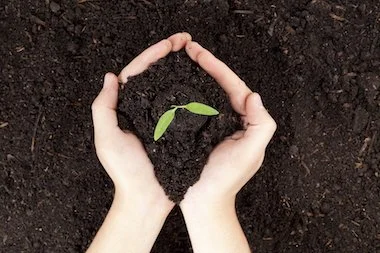 5 Steps: Optimizing Soil for Planting