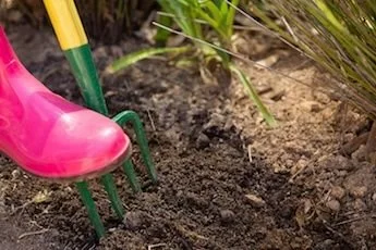 Must-Have Gardening Tools