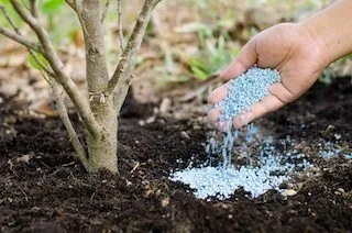 Soil Treatment Facts