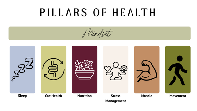 The 6 Pillars of Holistic Health: Why There's No Magic Bullet for Women Over 50