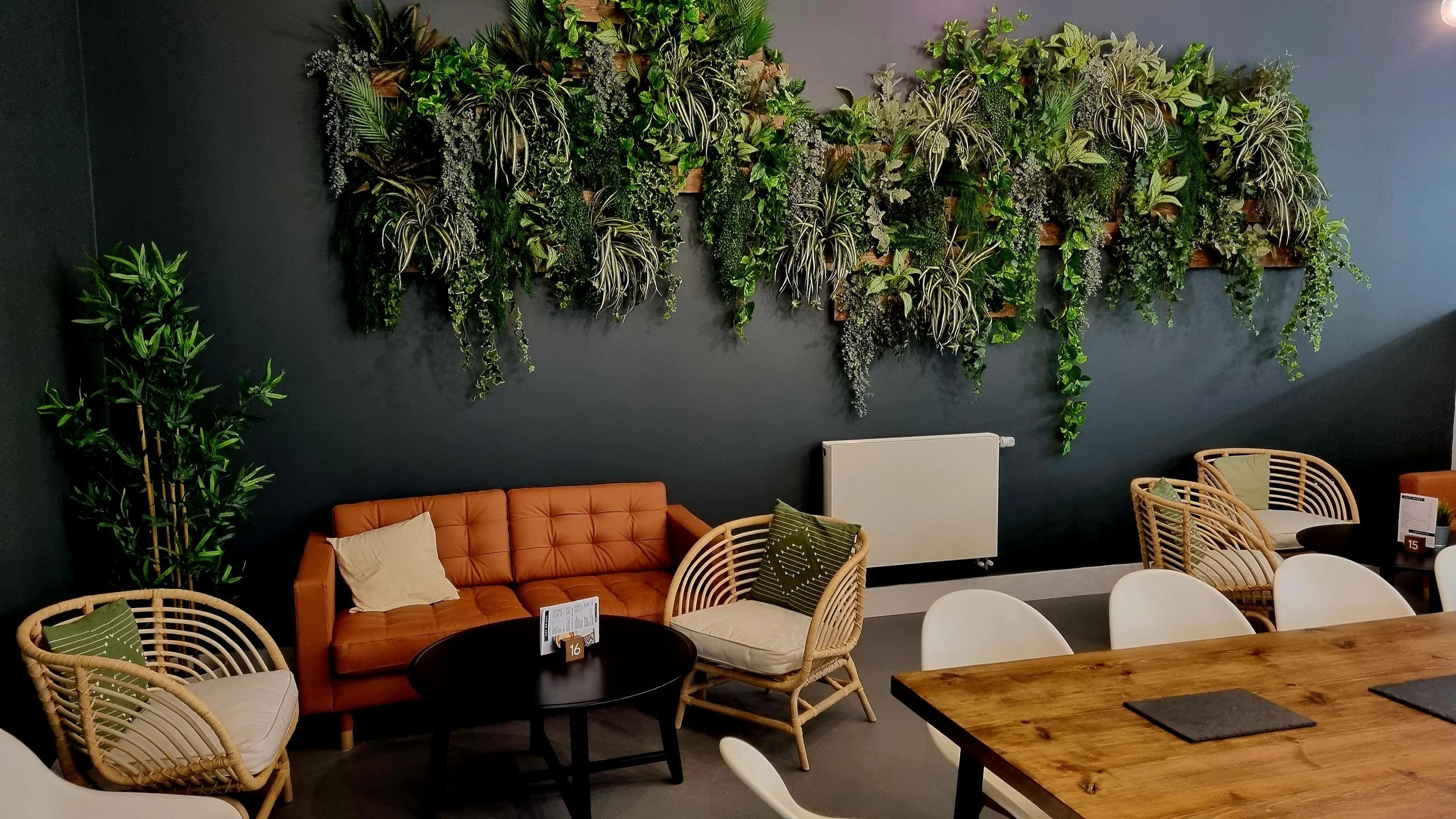 Lower Lounge.jpg