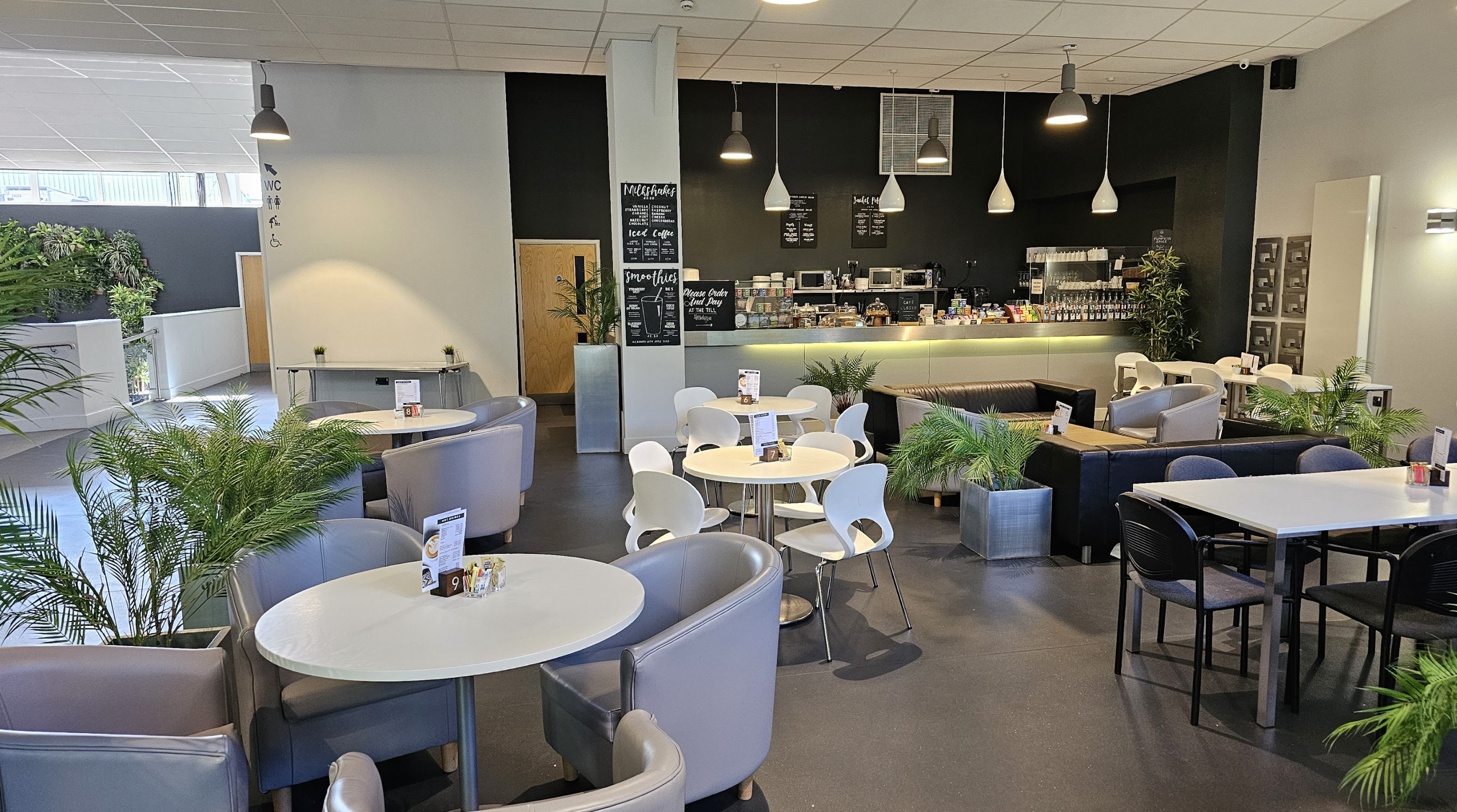 Interior view of a modern cafe with white and black chairs, round tables, houseplants, a counter with menus, and a coffee station.