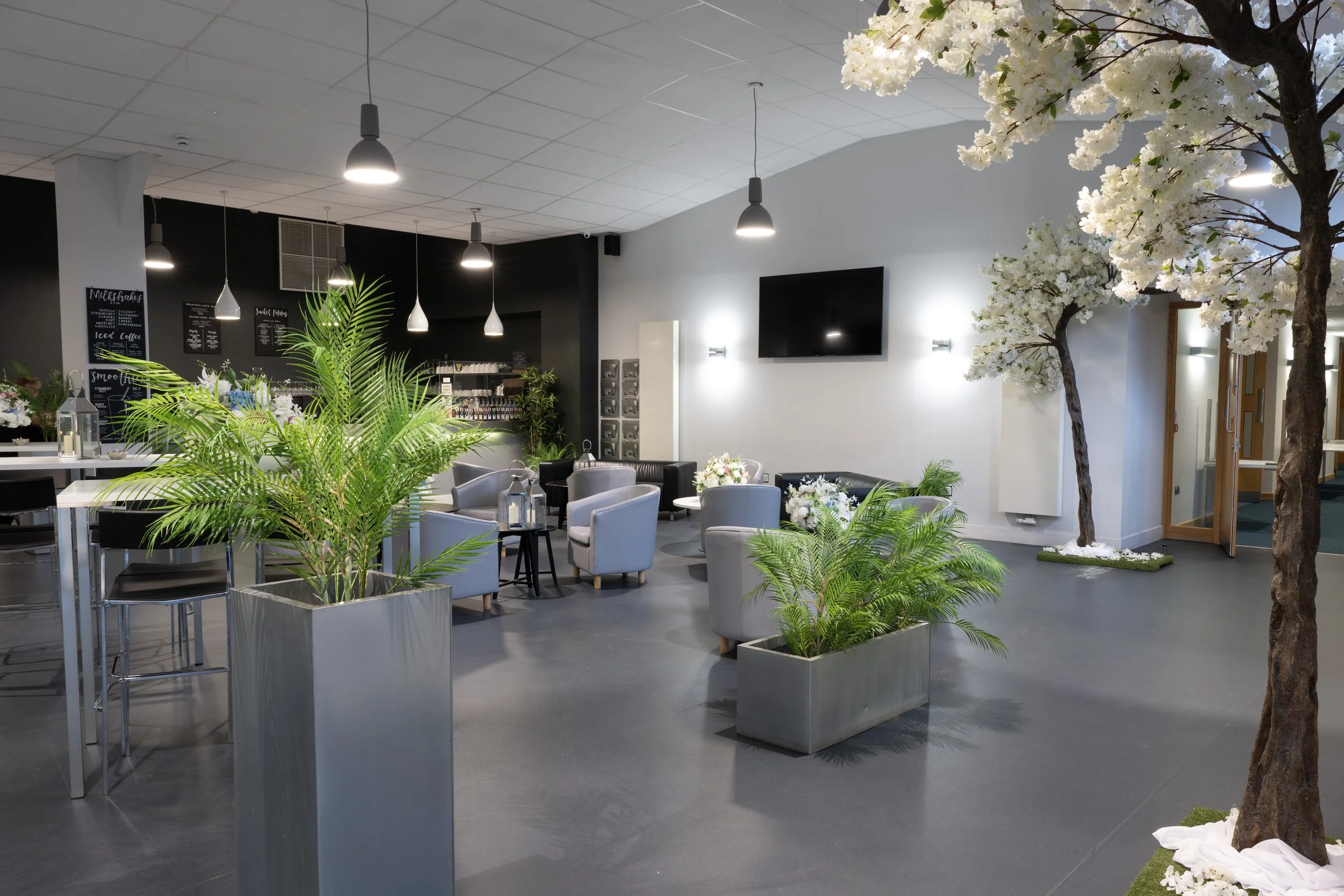 Modern lounge area with gray armchairs and potted green plants, decorated with flowering trees and white flowers, in a space with hanging ceiling lights and a large flat screen TV on a white wall.