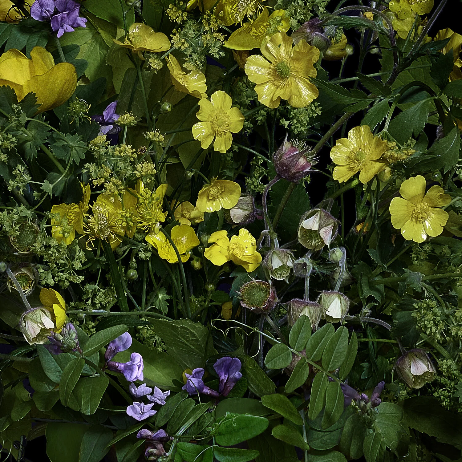 Buttercups & Other Wildflowers, 2018, Archival Pigment Print, Limited Editon (Details Series) 