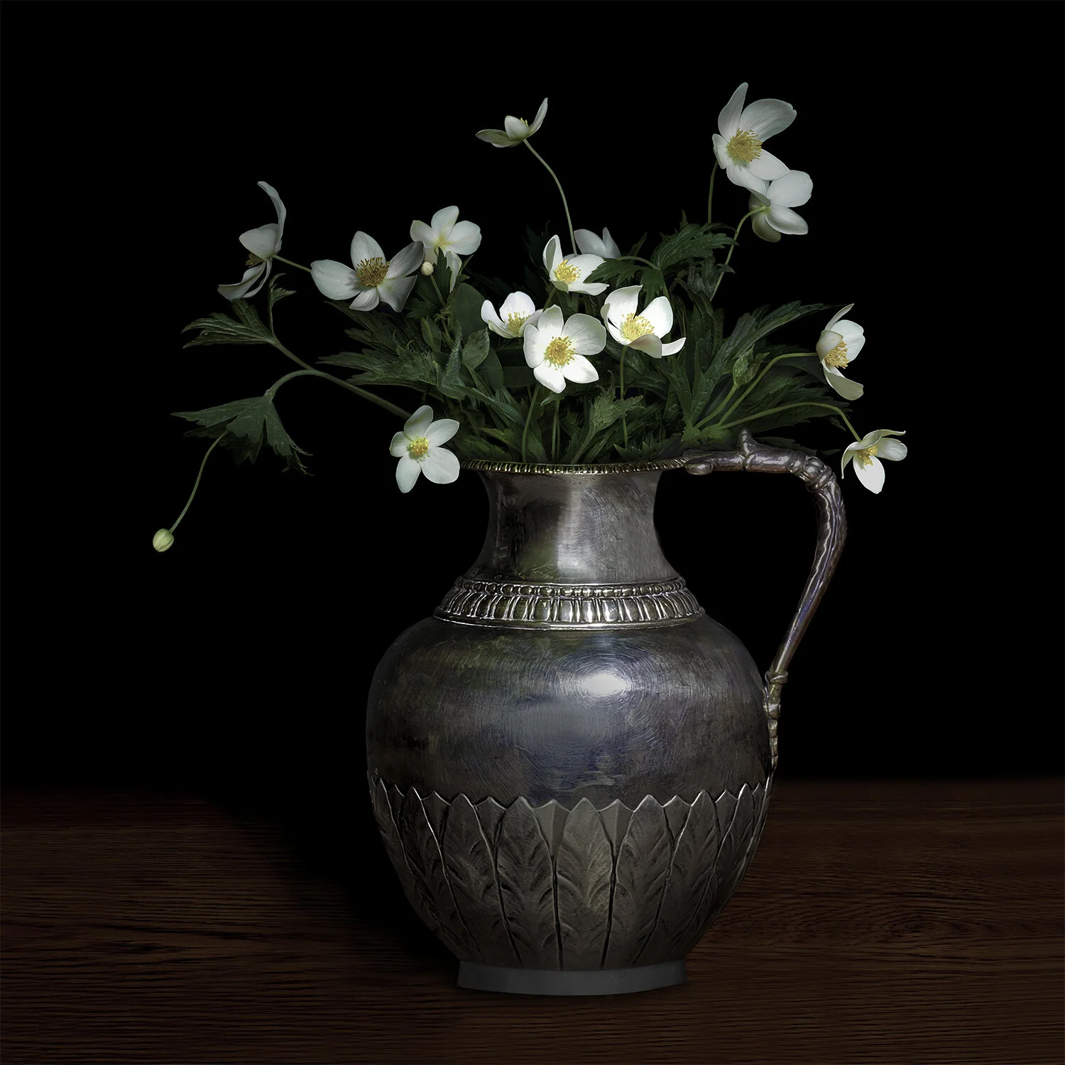Anemone Canadensis in a Silver Jug, 2018 (Vessel courtesy of Jardins de Métis / Reford Gardens), Archival Pigment Print, Limited Edition