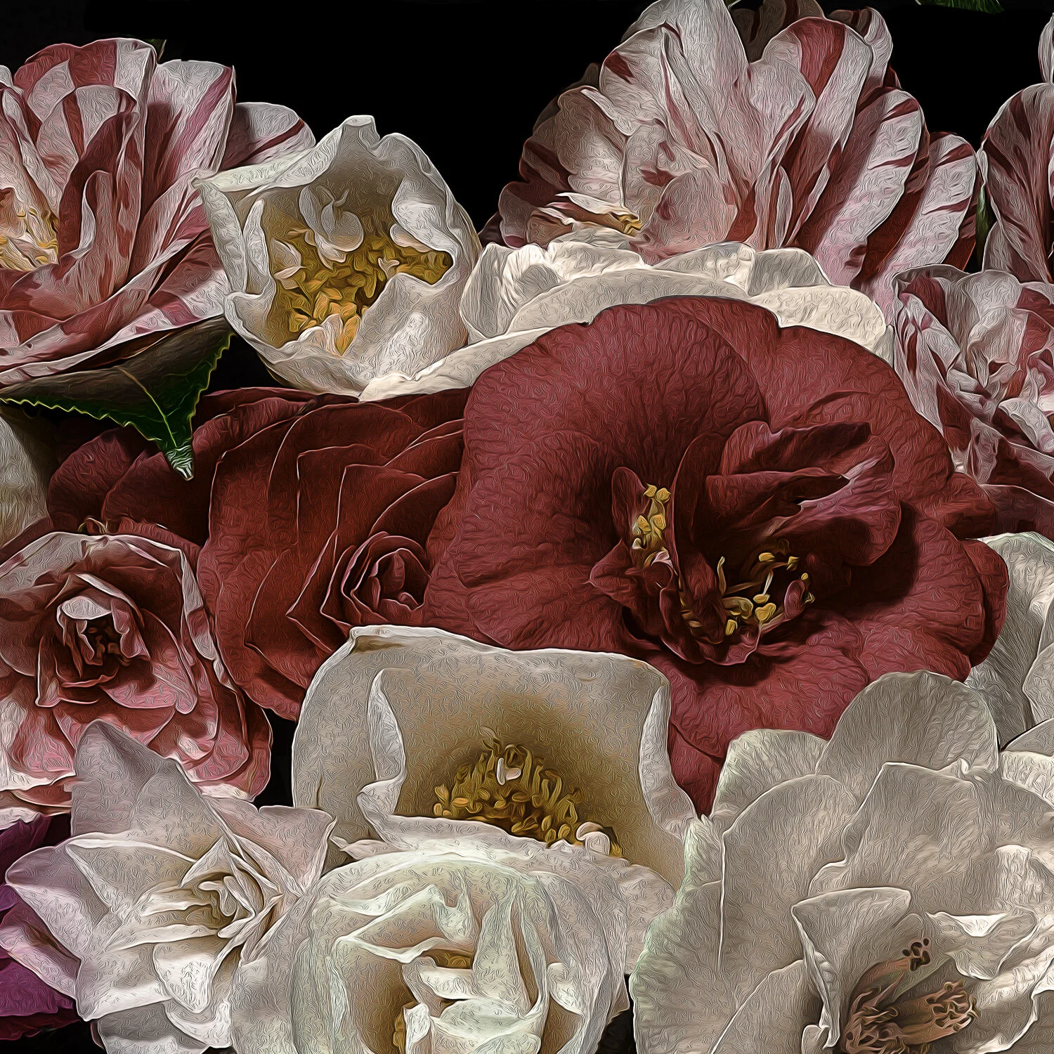Camelias, 2018, Archival Pigment Print, Limited Editon (Details Series) 