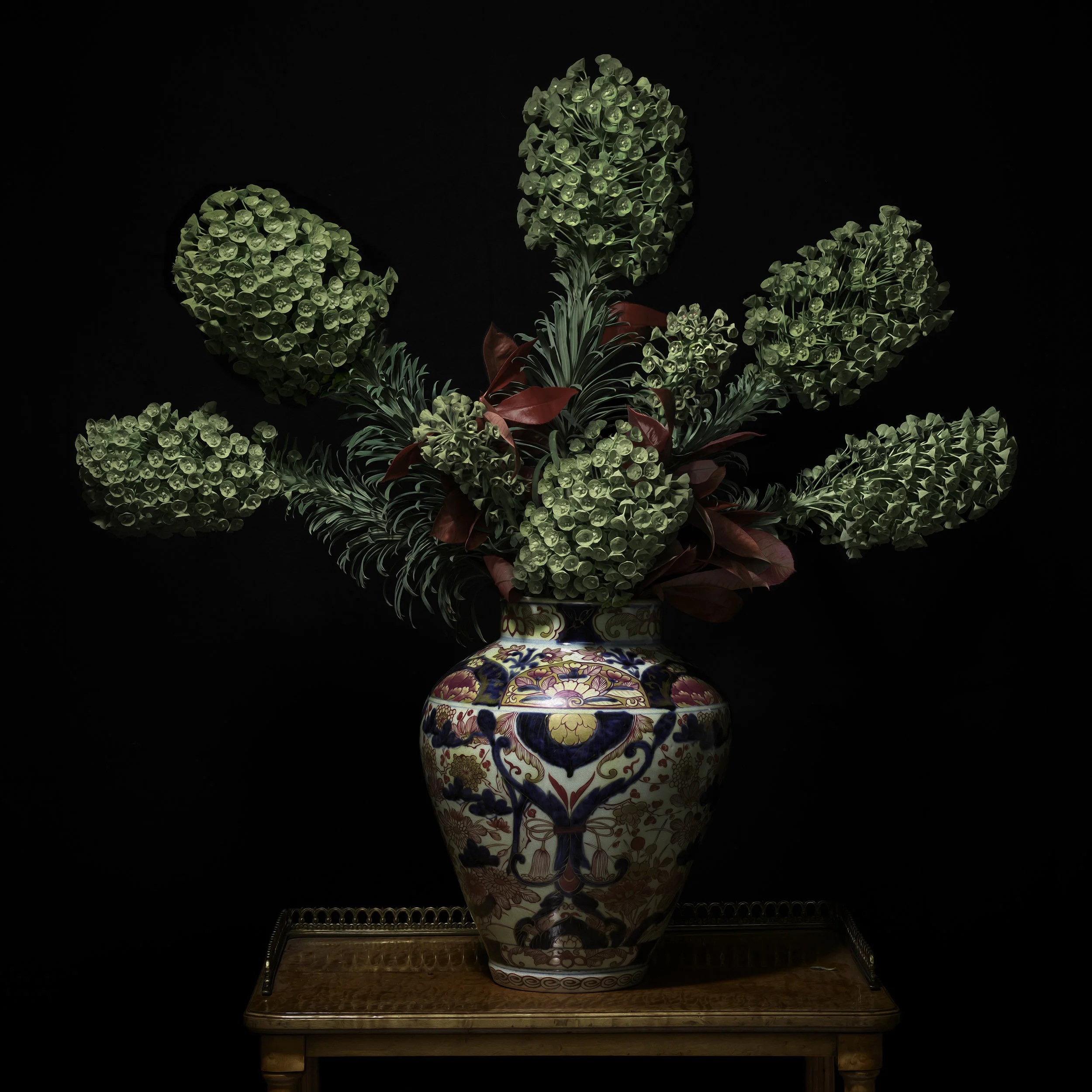 Euphorbia in a Japanese Imari Vessel, 2018 (Vessel courtesy of The Royal Collection), Archival Pigment Print, Limited Edition   