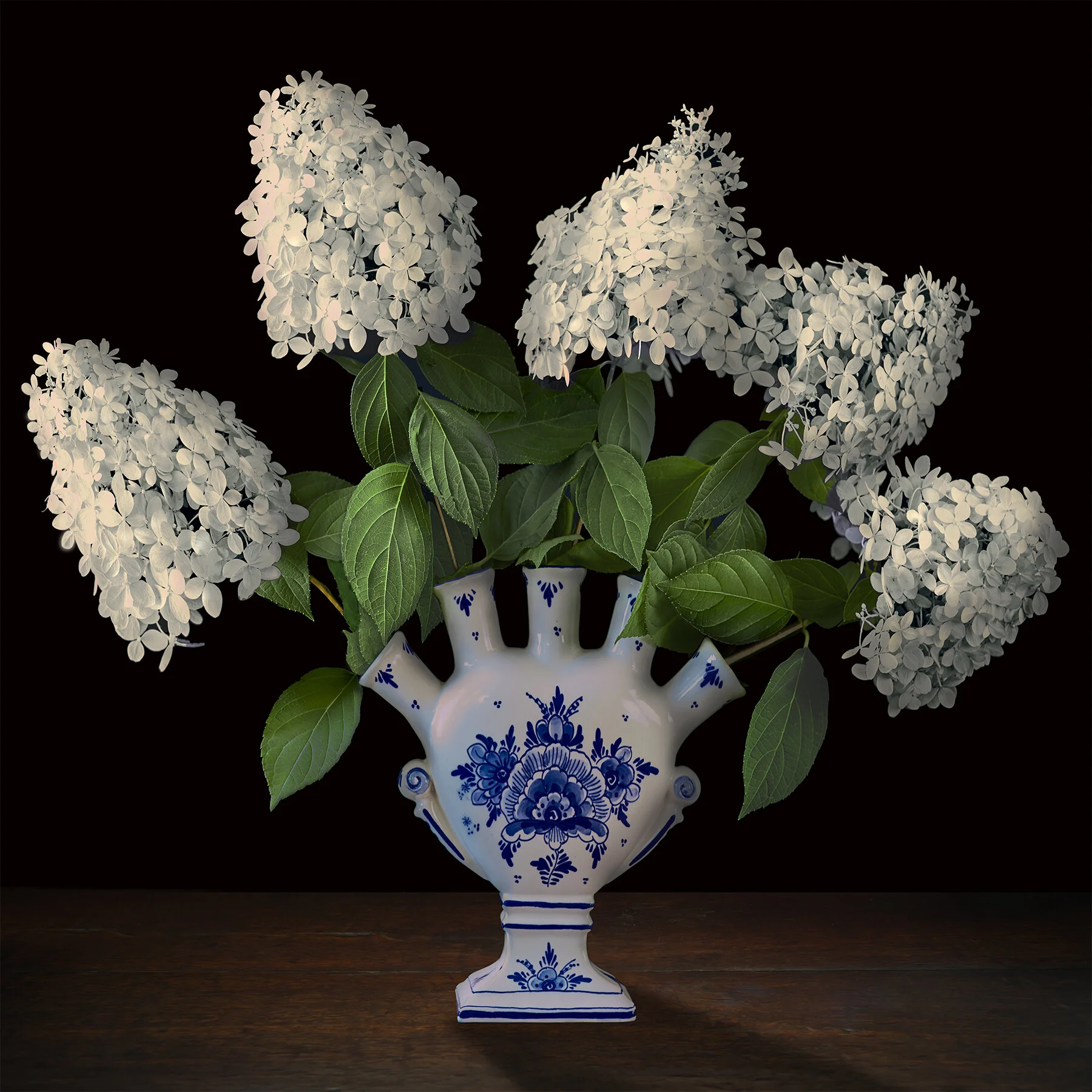 Hydrangeas in a Dutch Tulipiere, 2017, Archival Pigment Print, Limited Edition 