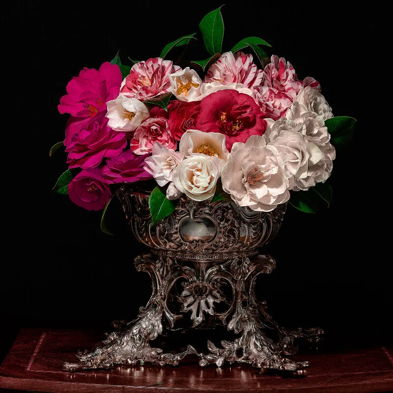 Camelias in a Silver Punch Bowl, 2018 (Vessel courtesy of The Royal Collection), Archival Pigment Print, Limited Edition 