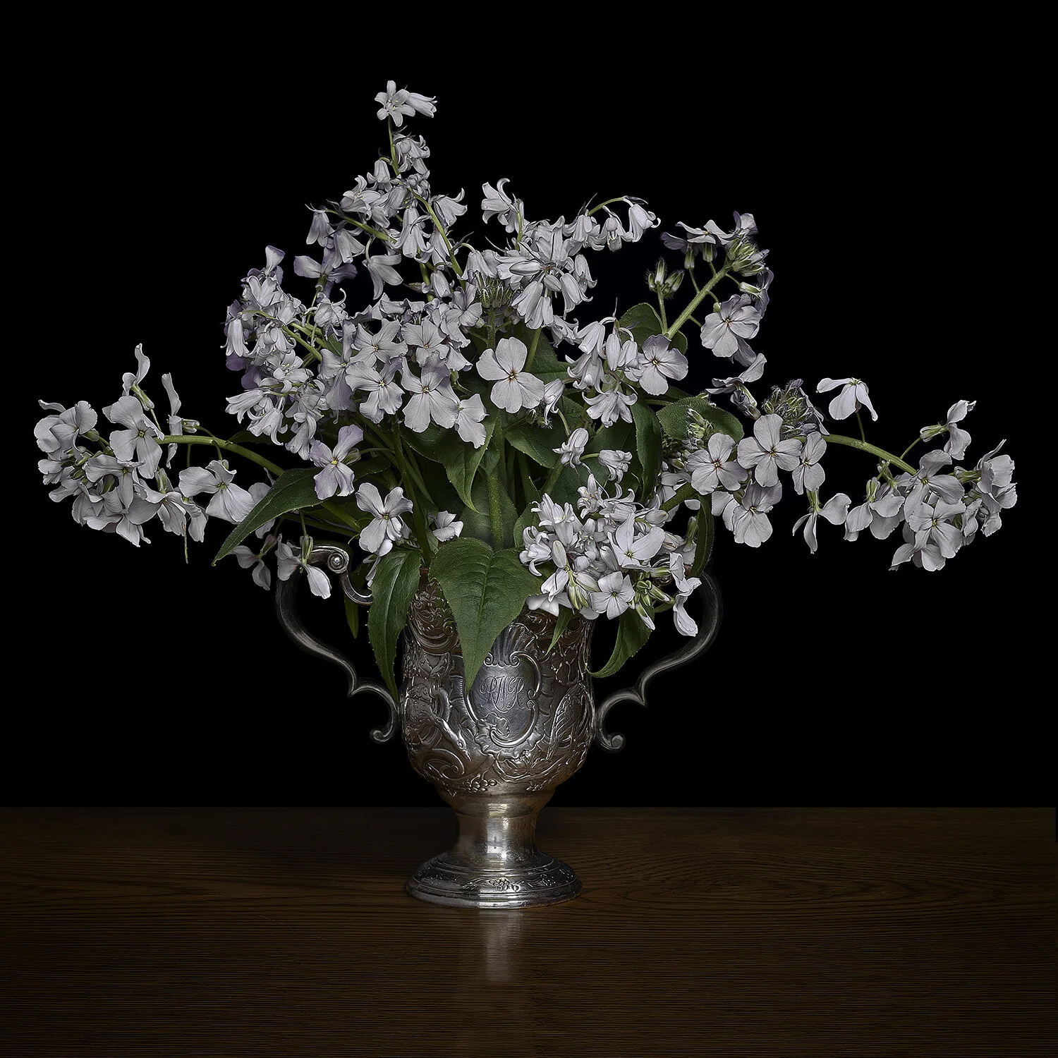 Woodland Scilla and Phlox in a Silver Cup, 2018 (Vessel courtesy of Jardins de Métis / Reford Gardens), Archival Pigment Print, Limited Edition