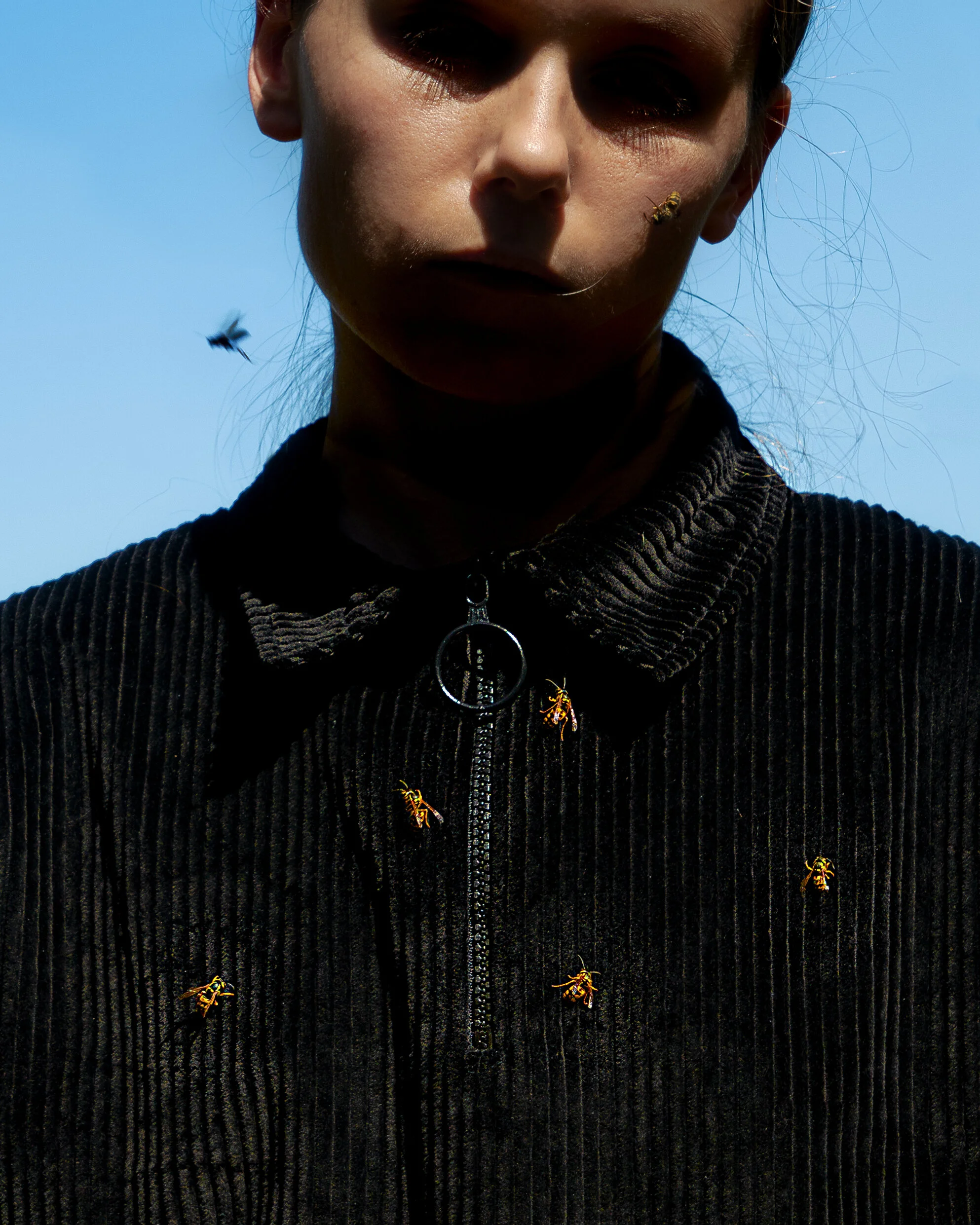 Sage Szkabarnicki-Stuart, Vespula alascensis, 2020Vespula alascensis is considered by many to be a common pest, but it was only ‘discovered’ as a species in 2010. Before 2010 Vespula alascensis wasps were believed to be the Vespula vulgaris species,…