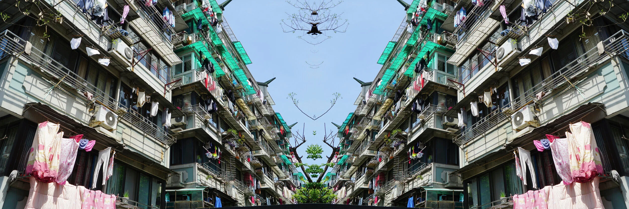 Garments and Splendors, 2019, Chromira print on Aluminum Composite Panel, 52” x 20”, edition 1 of 6