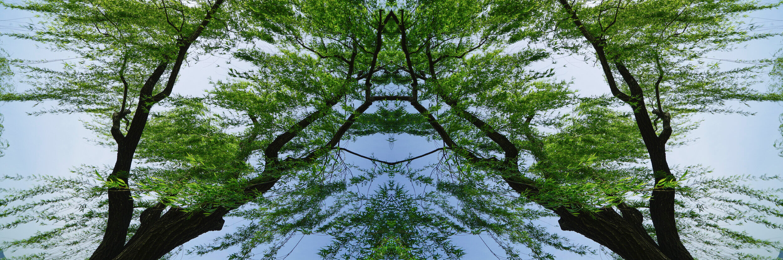 Air Optical 1., 2019, Chomira print on Aluminum Composite Panel, 52” x 20”, edition 1 of 6