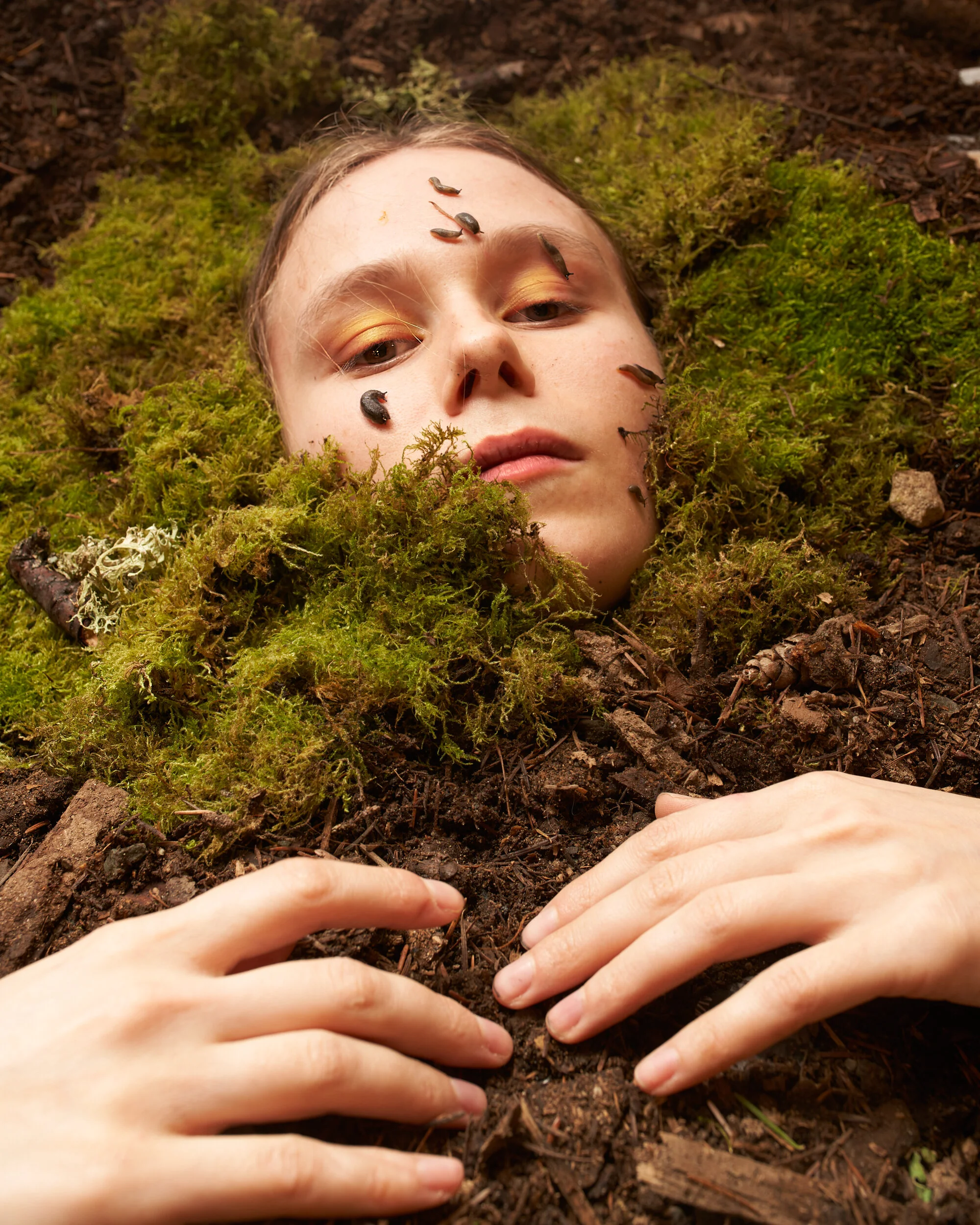 Sage Szkabarnicki-Stuart, Deroceras laeve, 2020Thanks to the global trade in plants and other horticulture materials, the Marsh Slug (Deroceras laeve) has evolved into two distinct organisms: the wild form and the greenhouse form. Scientists believe…