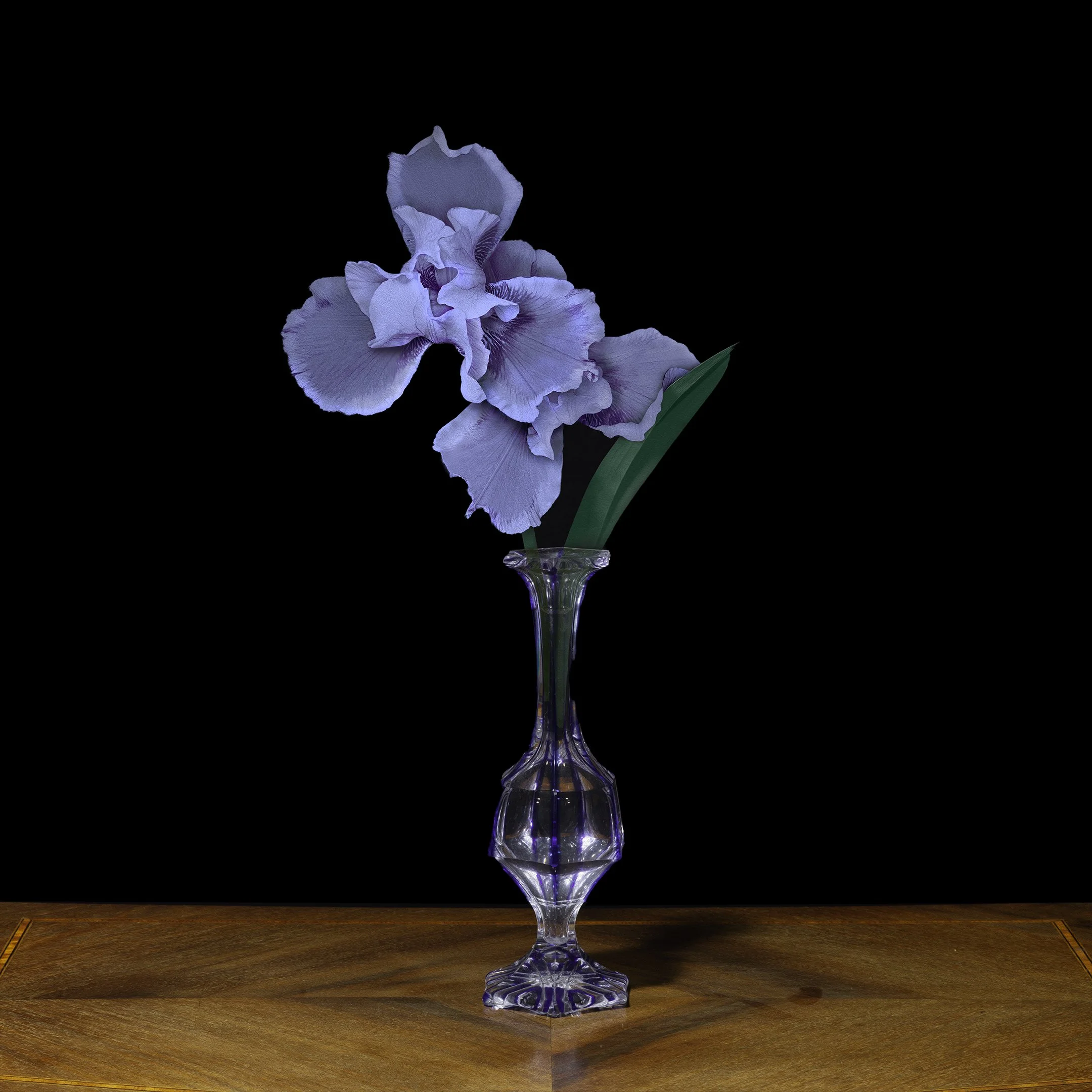 Iris in a Crystal Bud Vase, 2021, Archival Pigment Print, Limited Edition