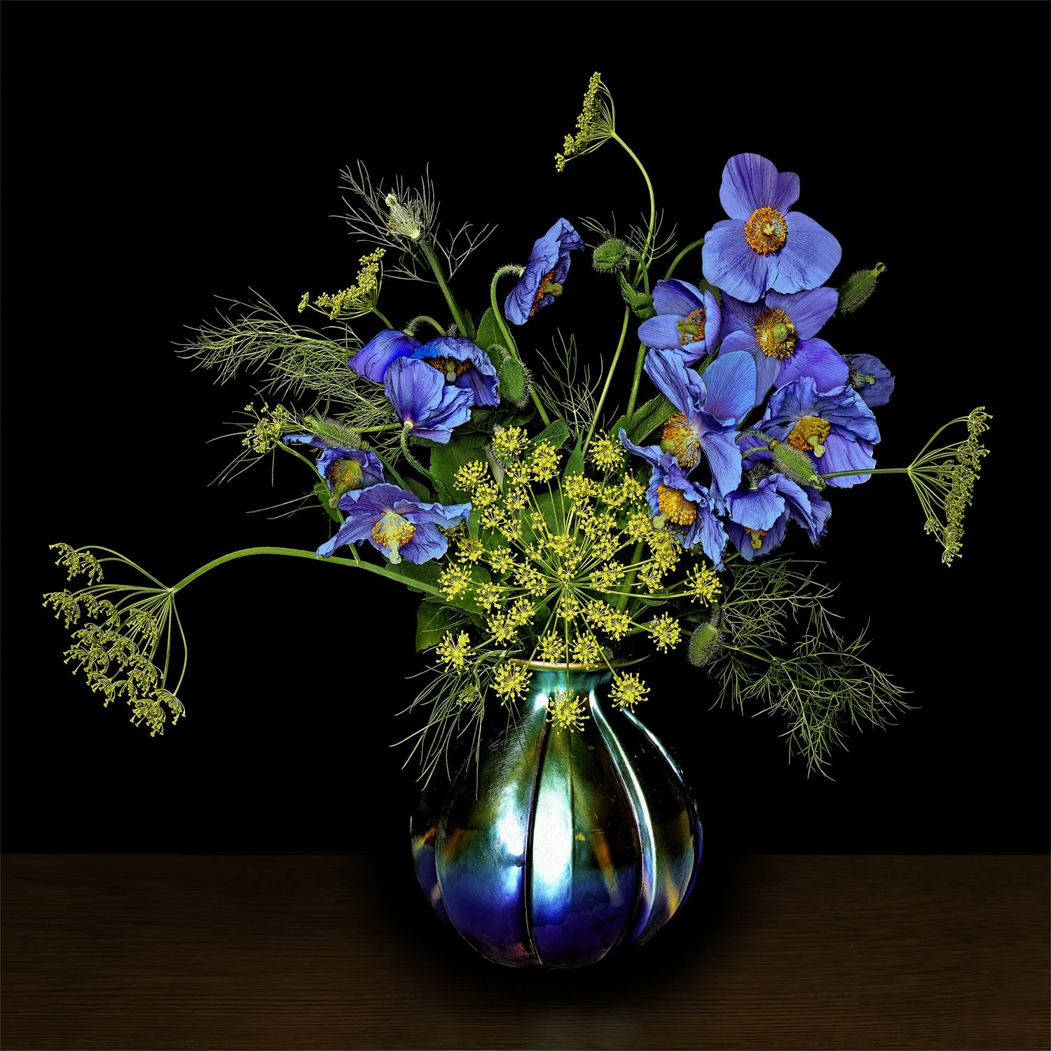 Blue Poppy and Dill Flowers, 2023, Archival Pigment Print, Limited Edition