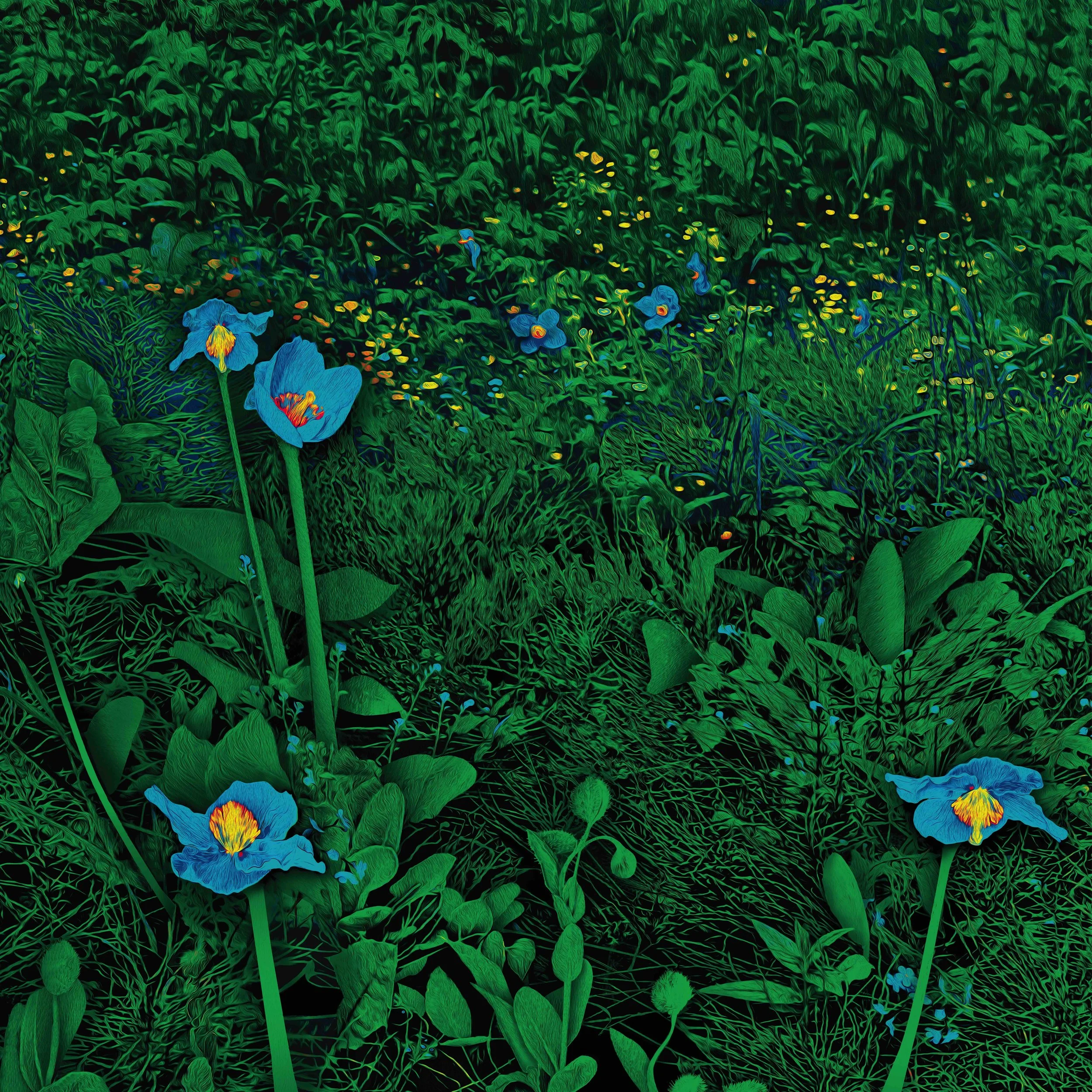 Himalayan Blue Poppy Forest, 2025, Archival Pigment Print, Limited Edition