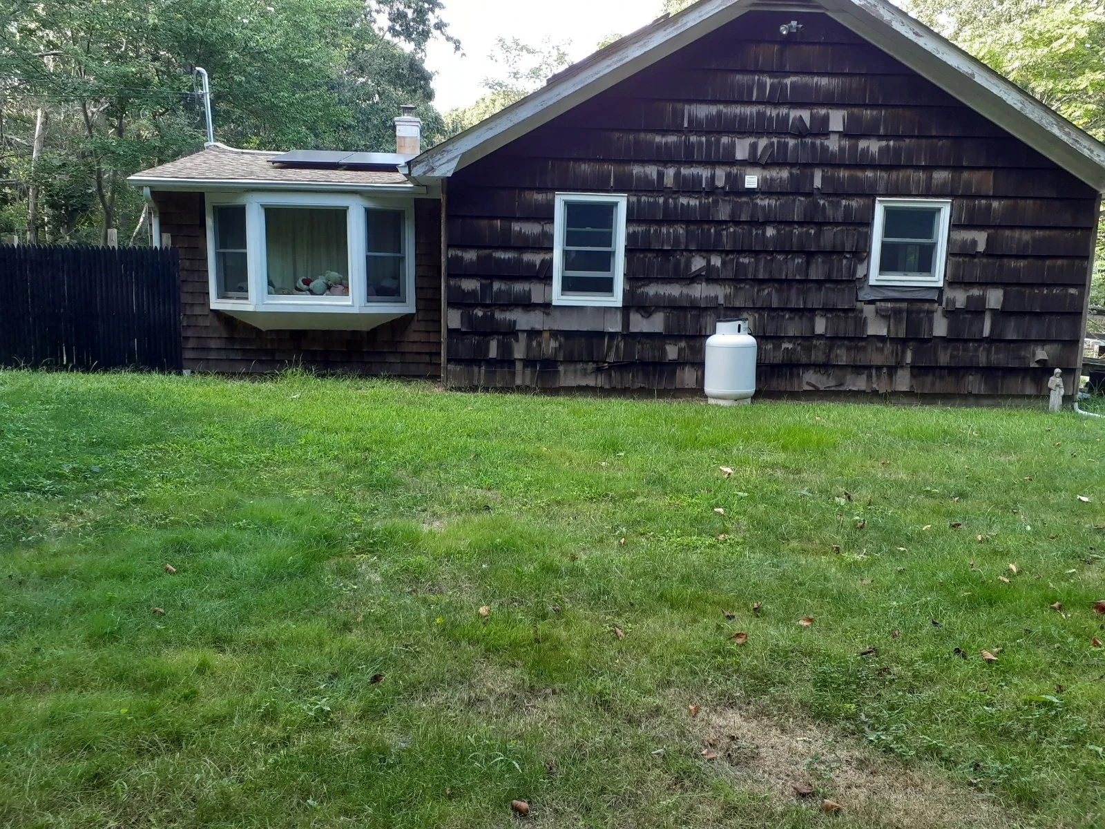 A house with a dark wooden exterior, white-framed windows, and a small grassy yard. One window has stuffed animals visible inside. There is a propane tank outside and some small statues near the house. Trees surround the yard.