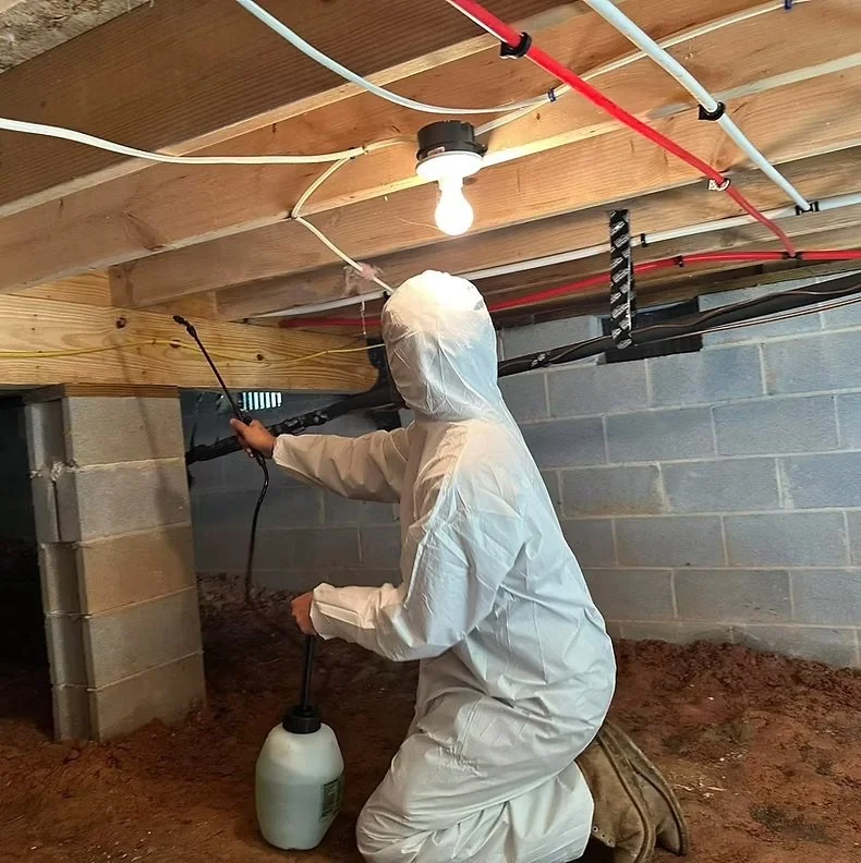 Mold Remediation