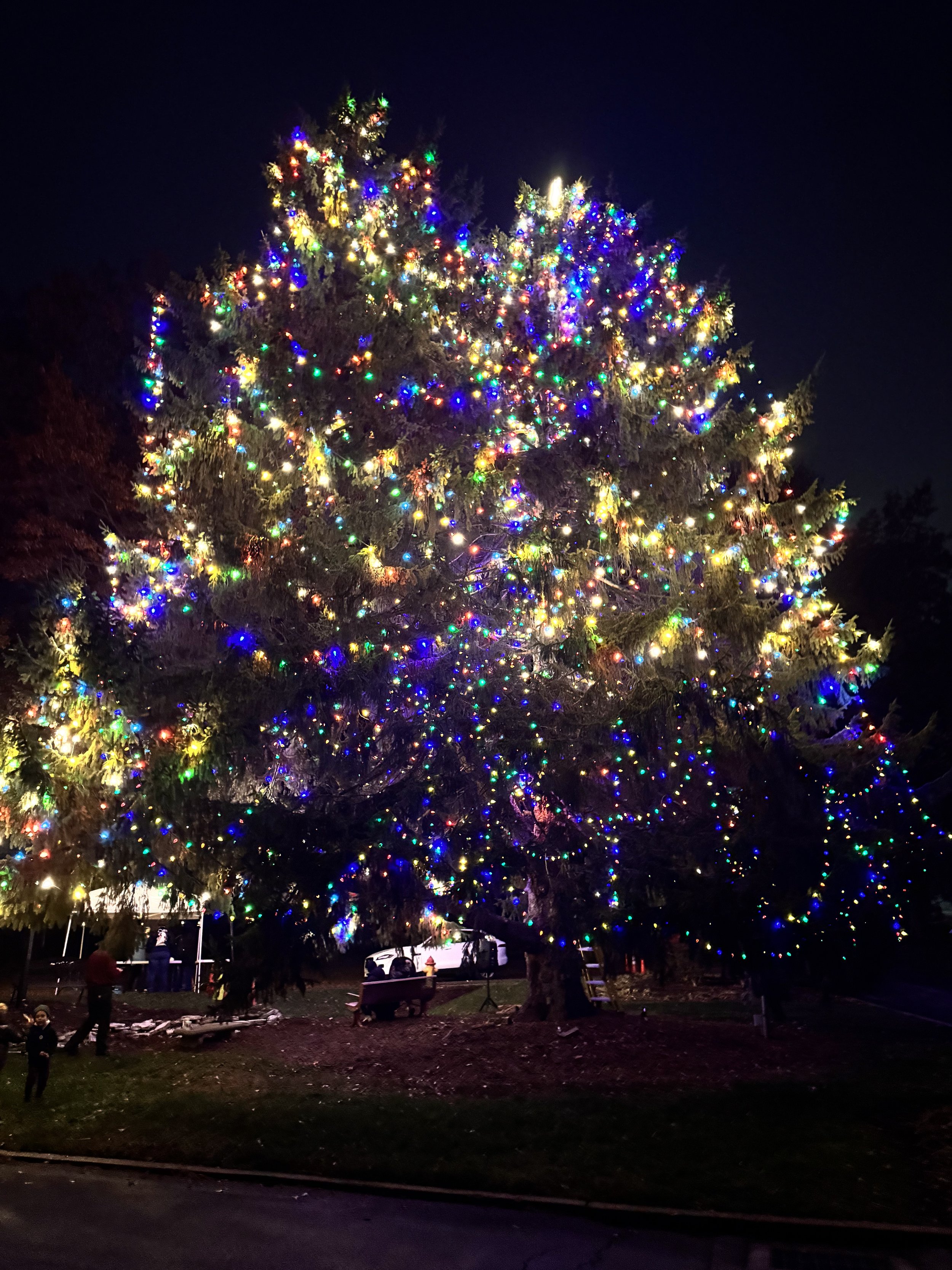 Annual Christmas Tree lighting at Flag Island, 2025 
