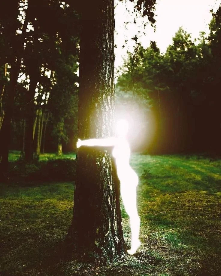 Intuition Boost Course