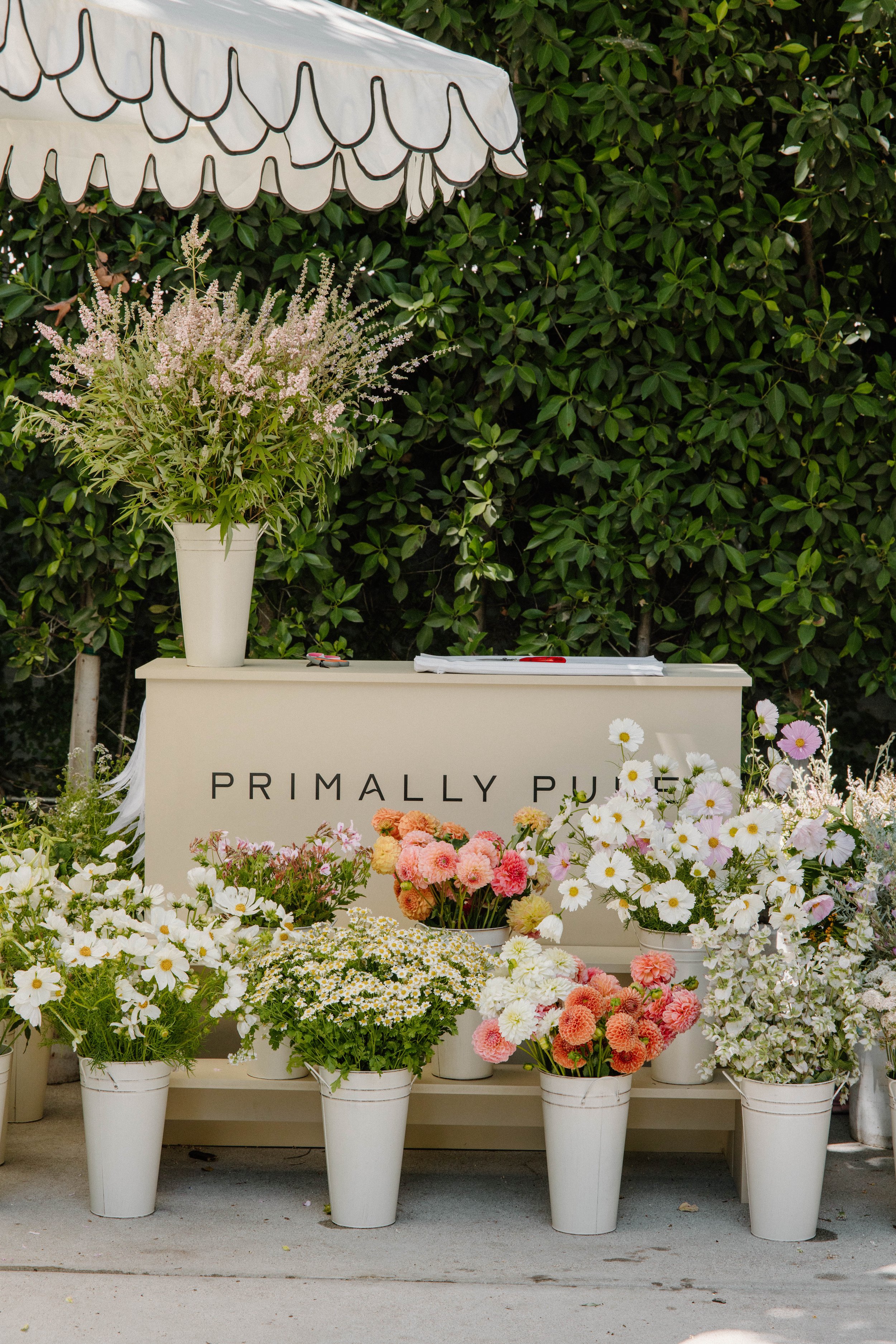 Primally Pure-11.jpg