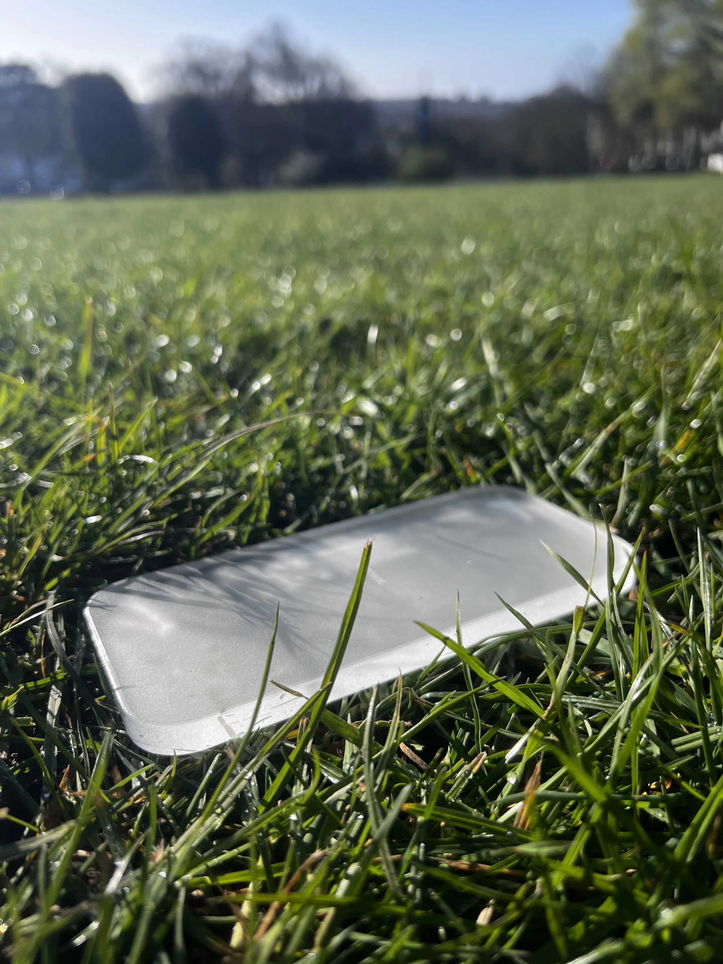 IMG_1597.jpeg (Copy) (Copy) (Copy) (Copy) (Copy)