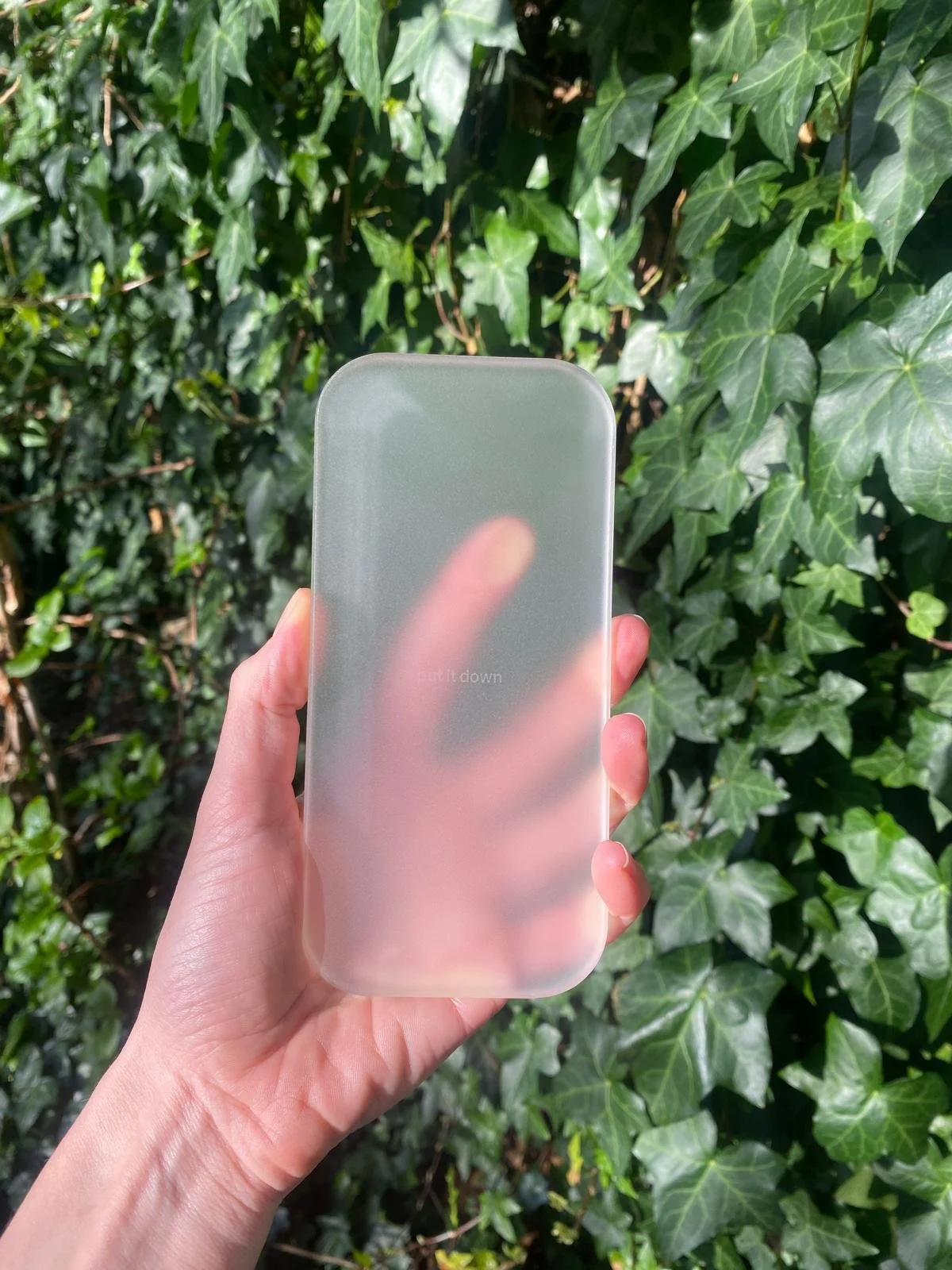 Hand holding a frosted glass smartphone case in front of green ivy leaves