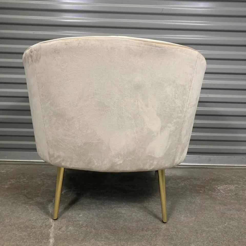 Bedroom Chair Champagne Velvet Upholstery