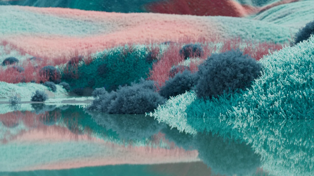 manaus_greenwolrd_rt_011_cam04 copy.webp