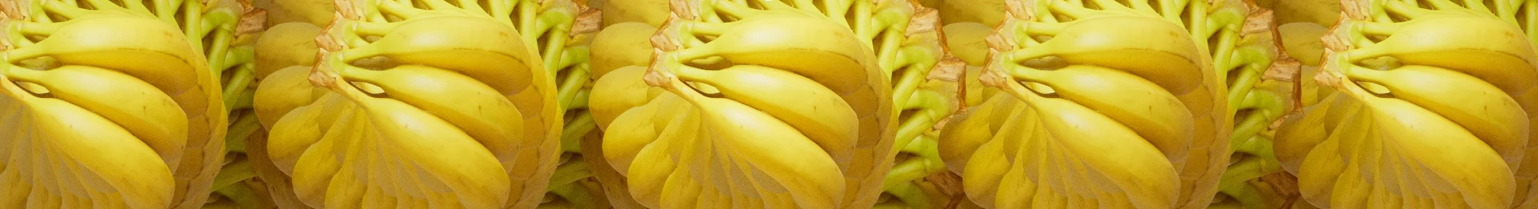 01_ape-one_v001_lit_2 copy.webp