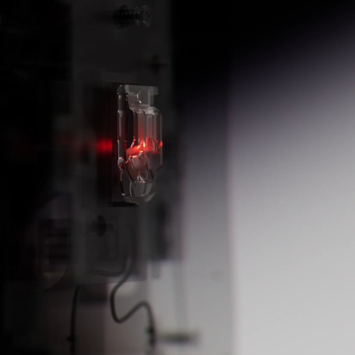 tor_lookdev_rt_035 copy.webp