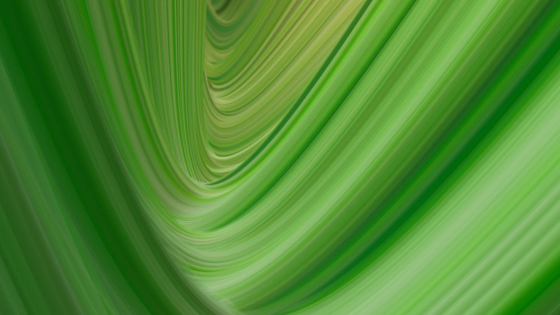 linewaves_36_0010 copy.webp