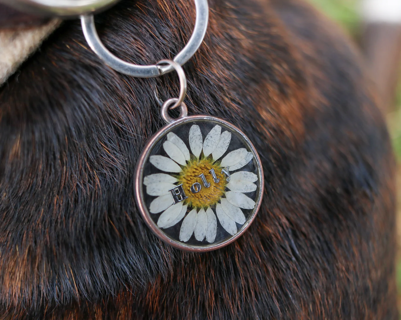 Screenshot 2026-03-22 at 7.56.01 PM.png