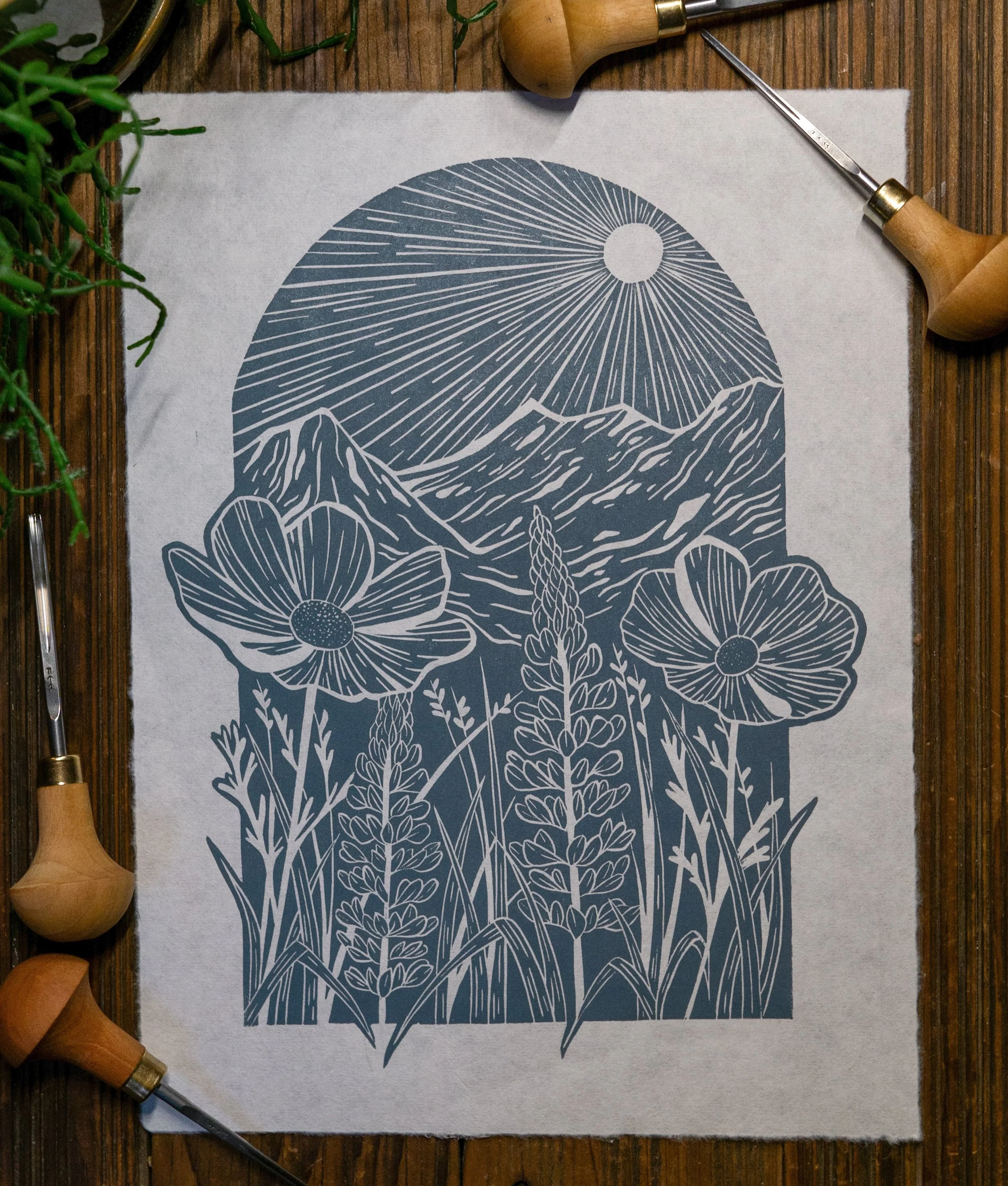 mountain_meadow.jpg