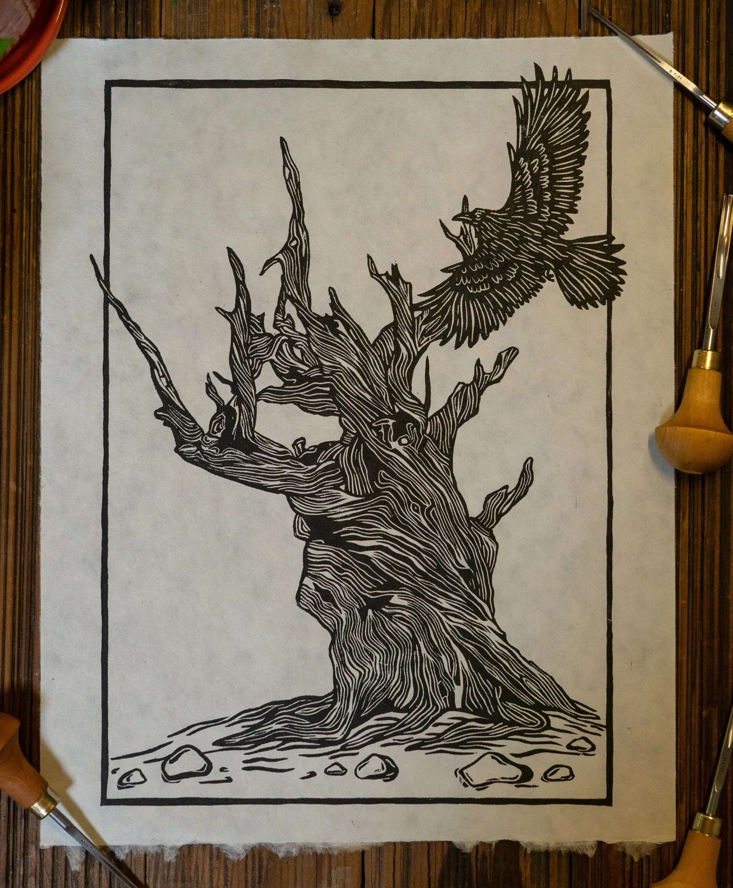 bristlecone_pine.jpg