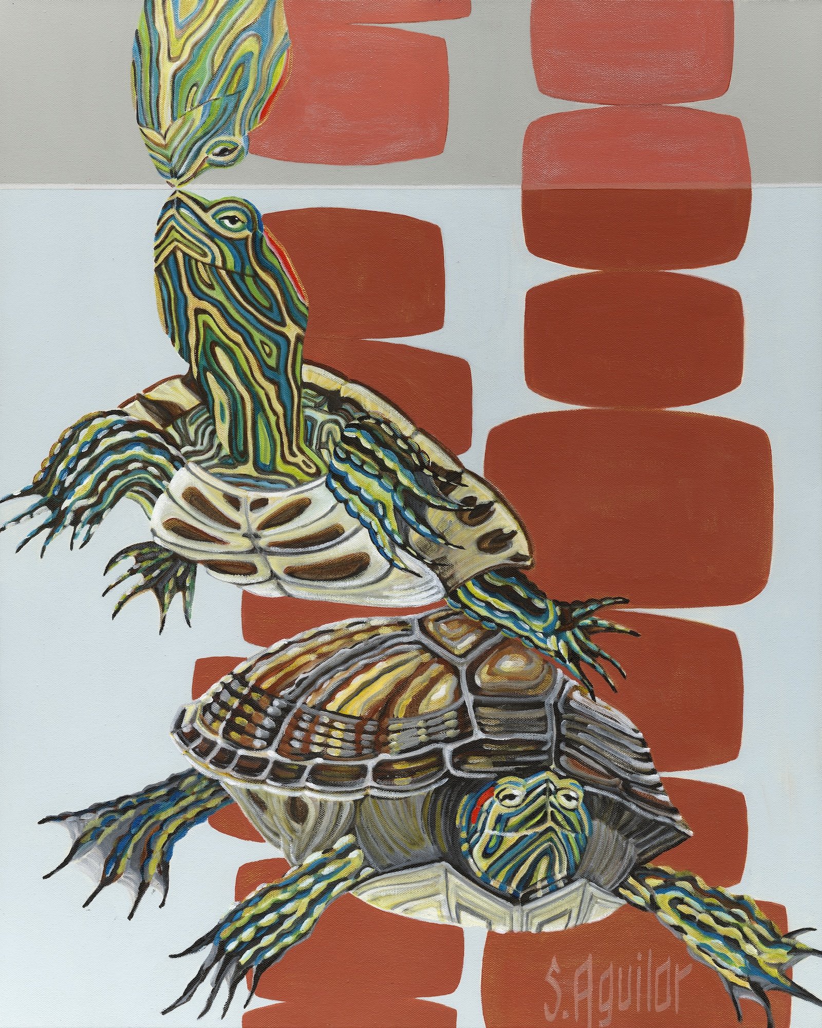 two_turtlessmaller.jpg
