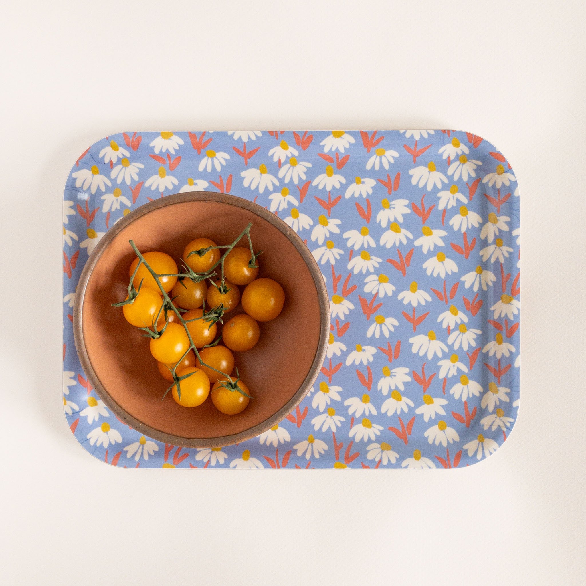 coneflower_tray.jpg