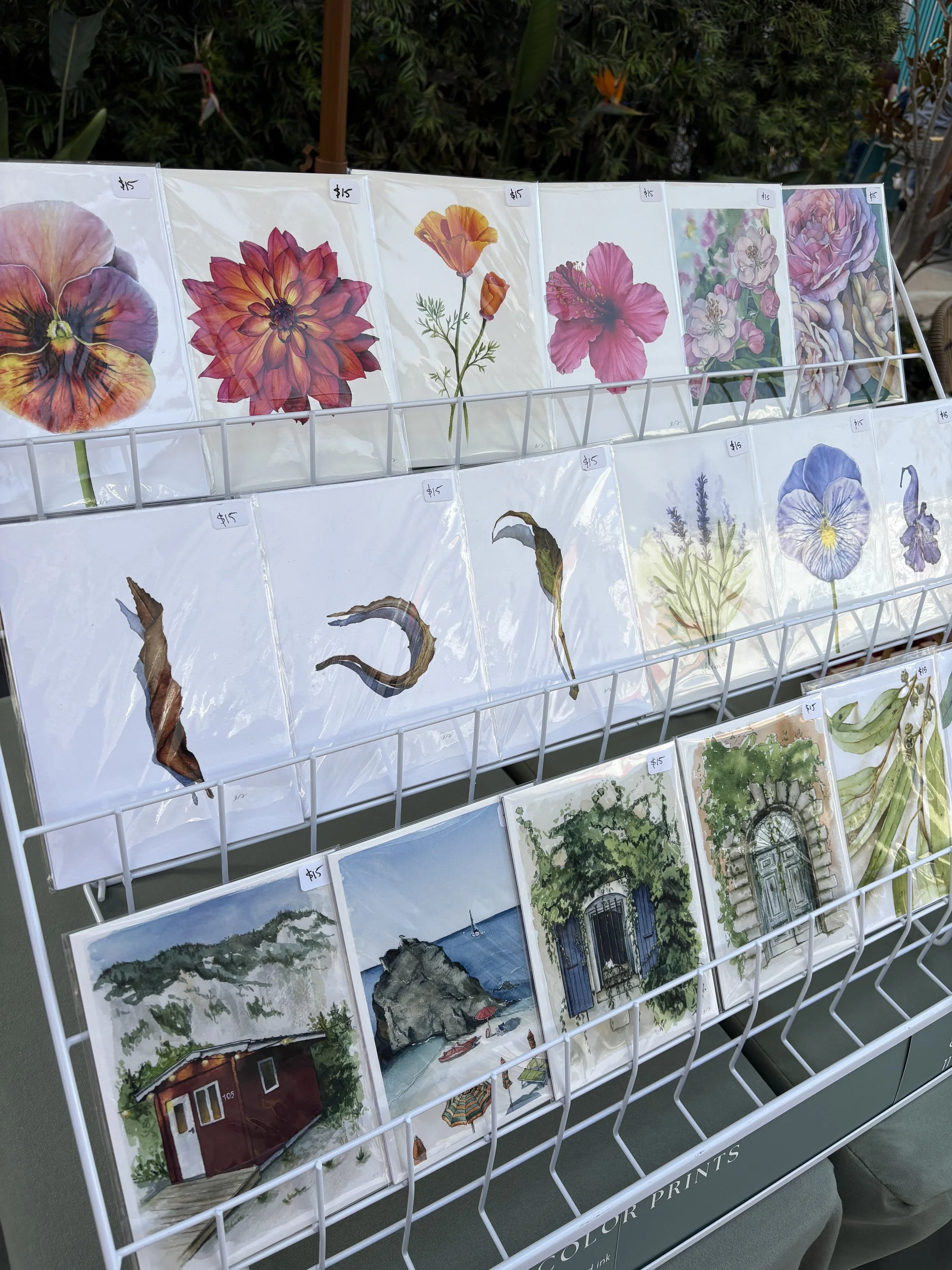 img_3799.jpg